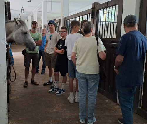 Gruppe im Stall